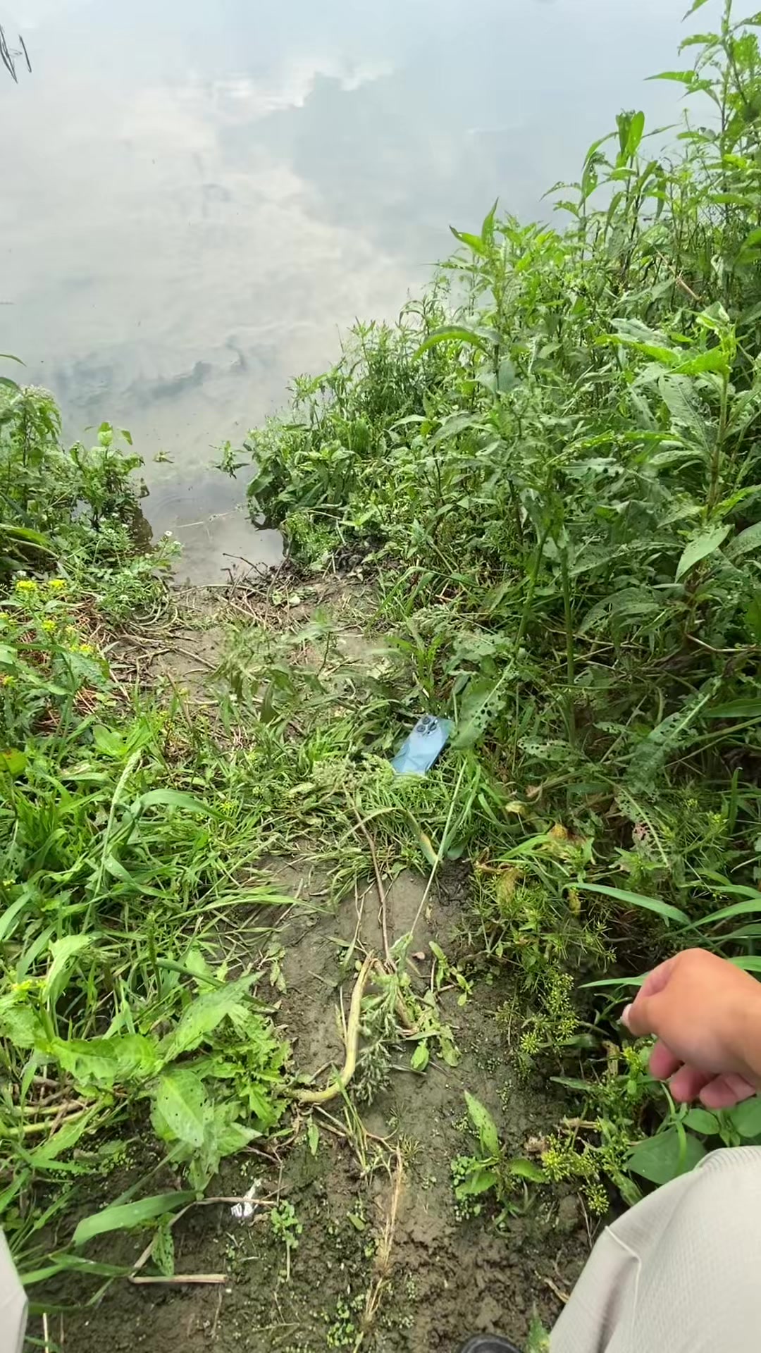 @Ngư Dân TikkTok