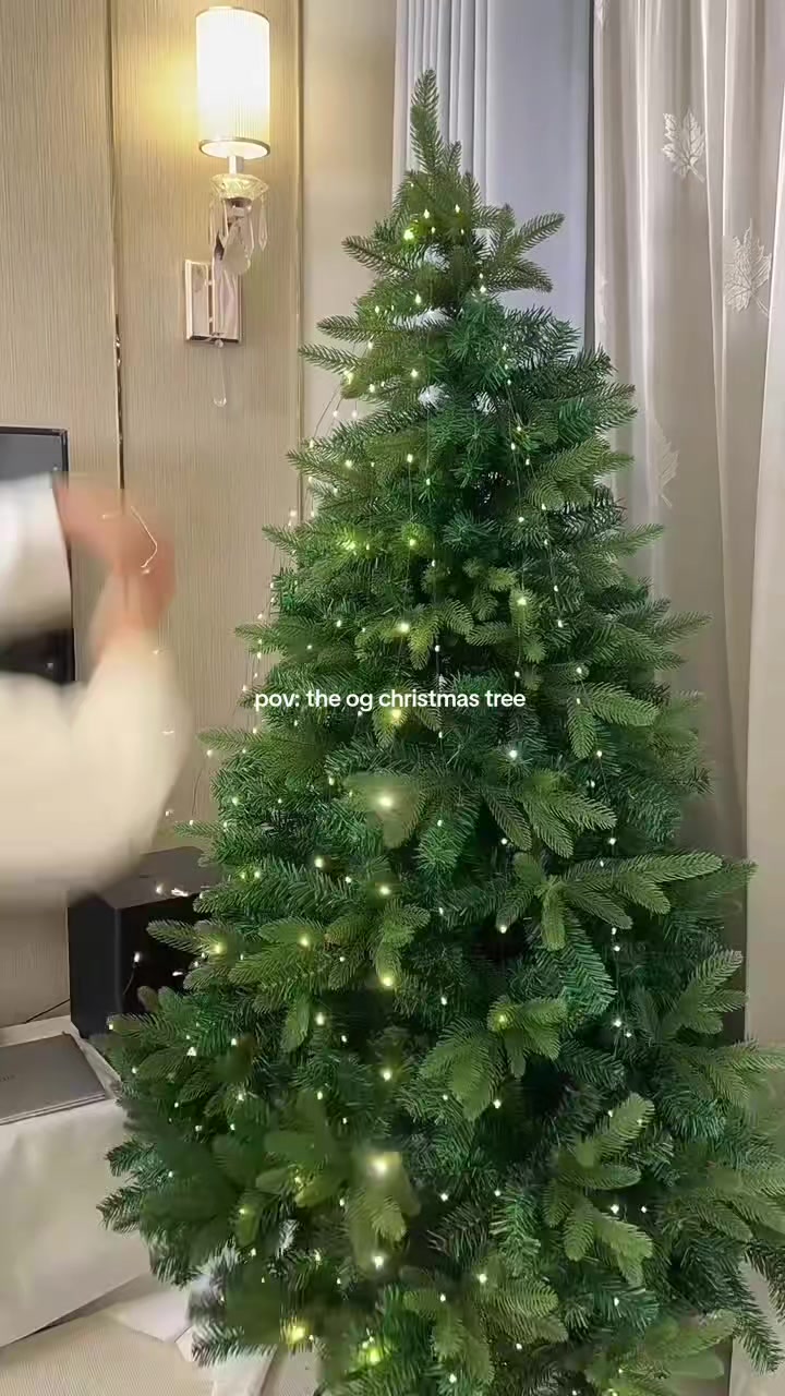@Ms. Z ۶ৎ˙