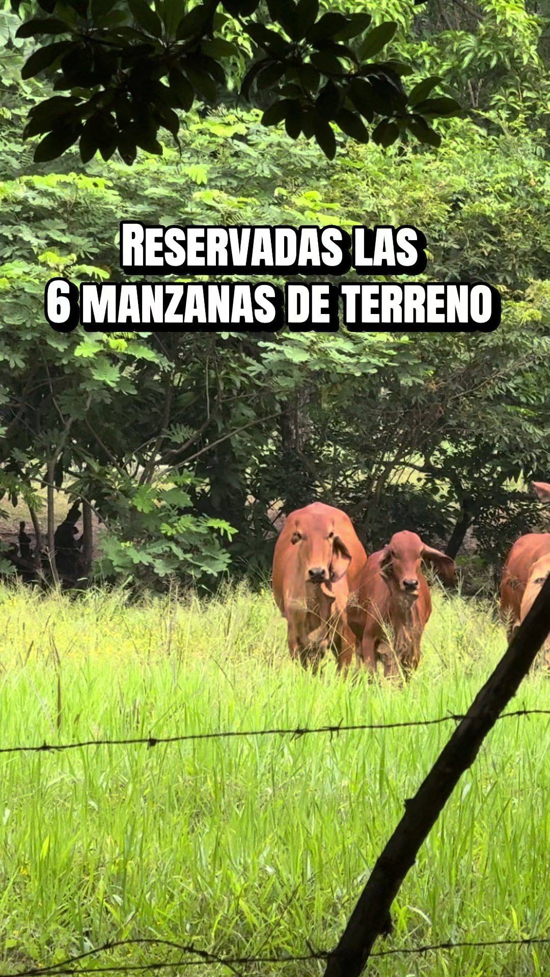 @Marco Ortiz🧸