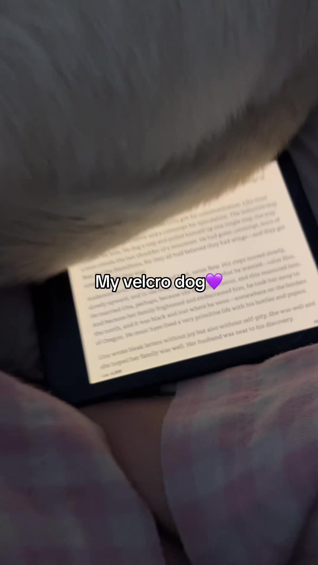 @Nala & Bella 💜