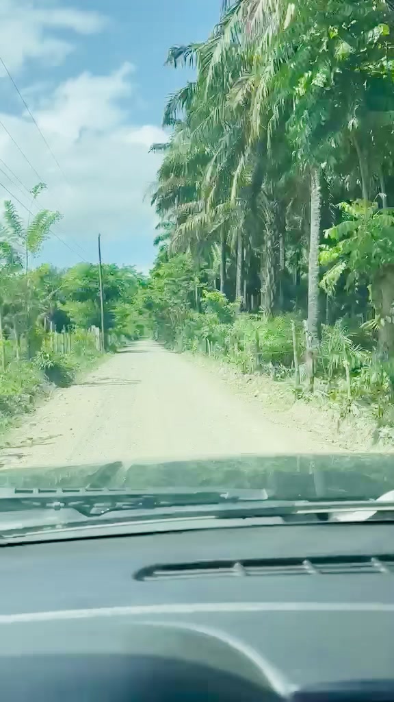 @Saracatracha504