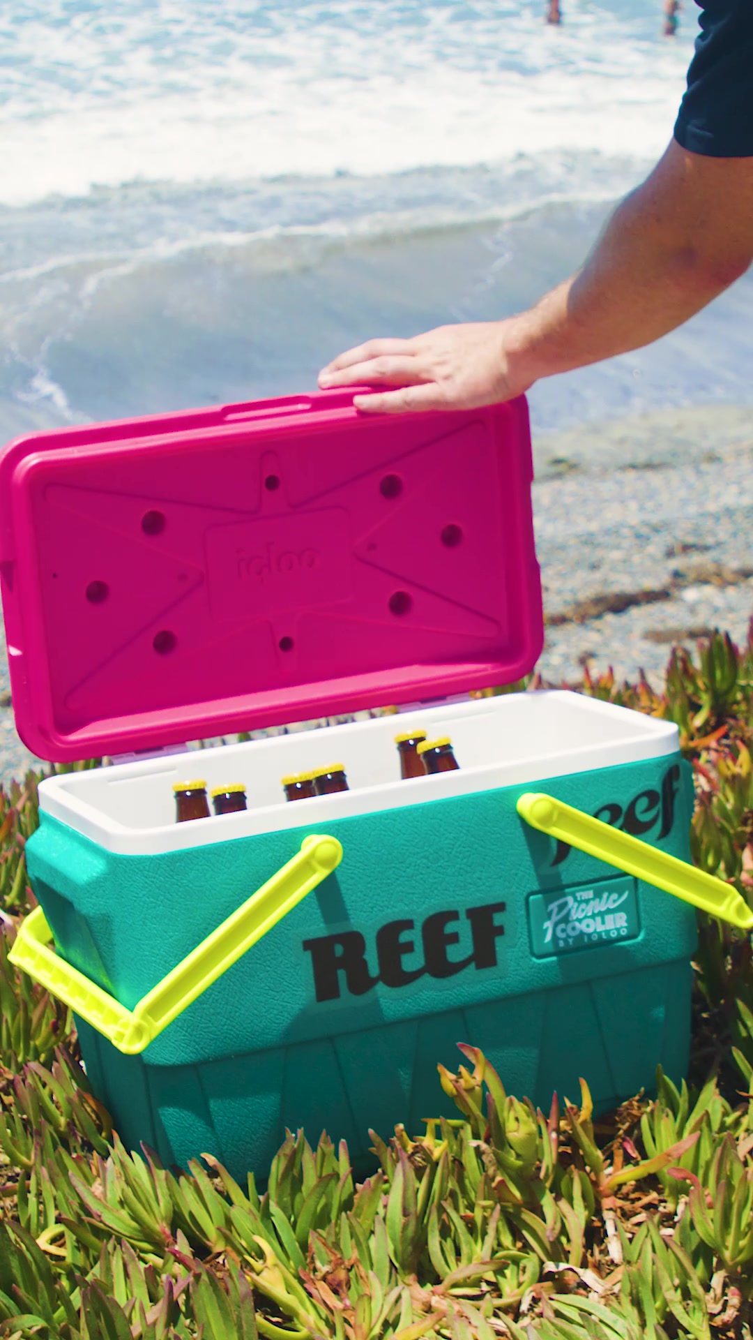 @REEF Lifestyle