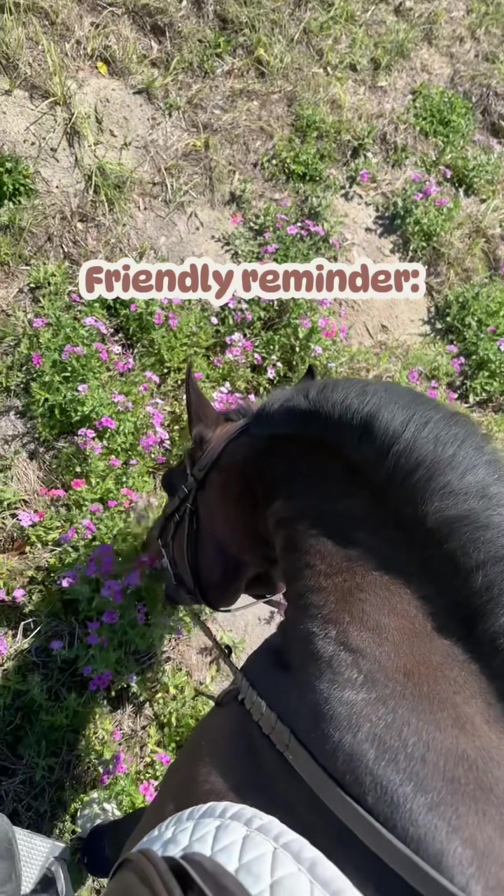 @kenzie