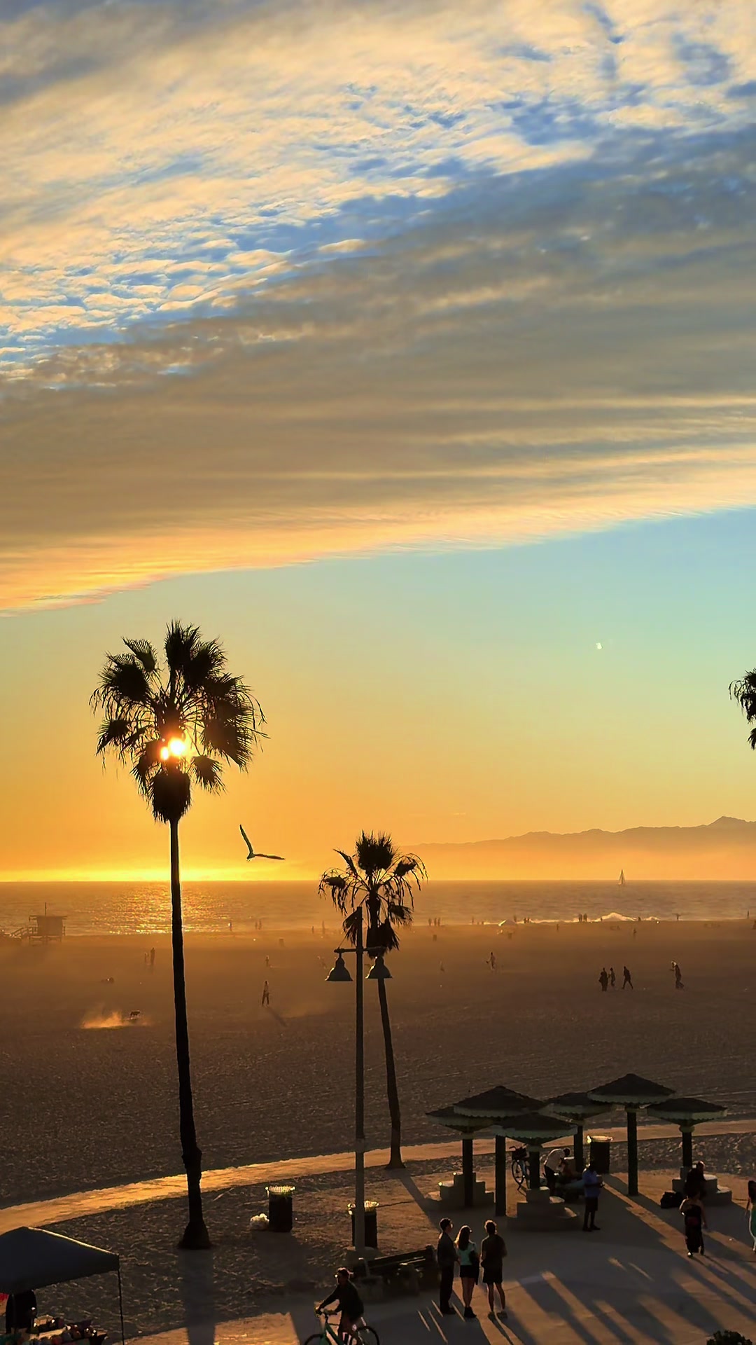@Venice Beach Boardwalk