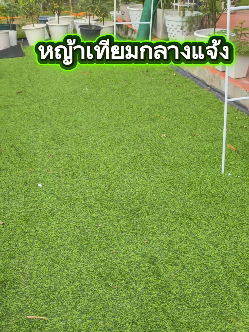@บ้านนาตาโฮม🏡