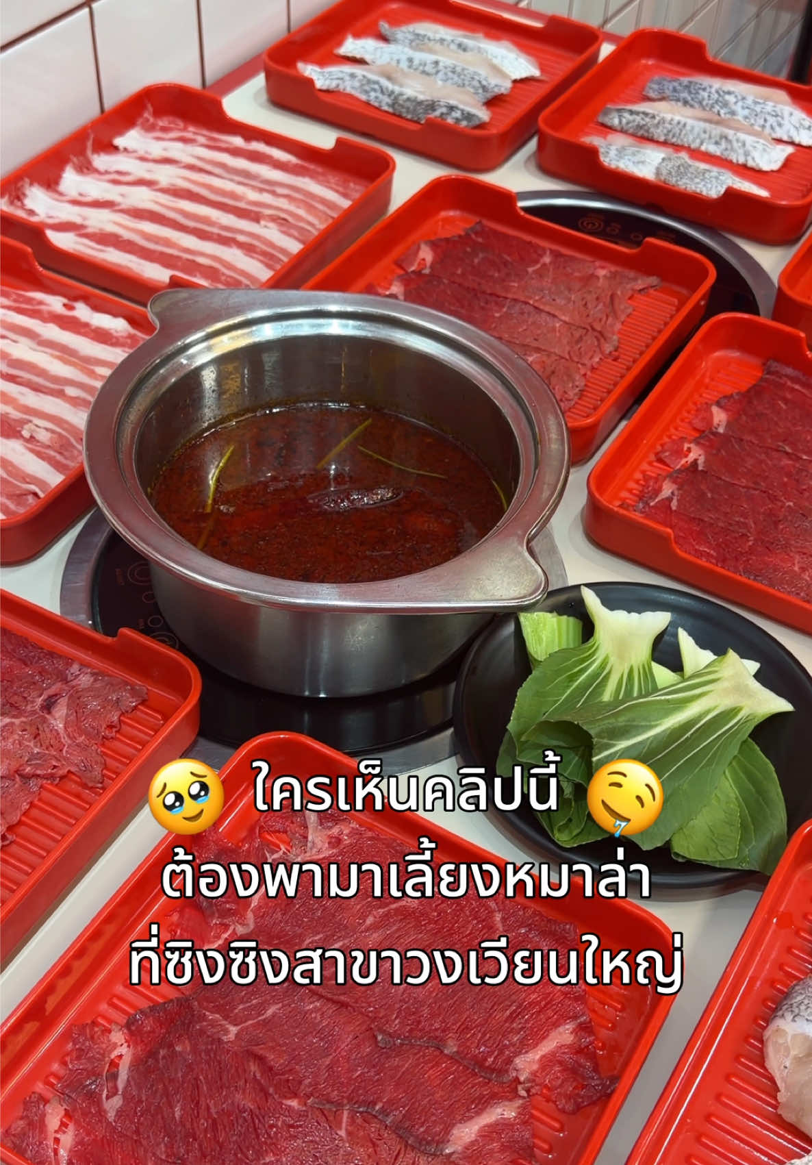 @xingxing_malashabu