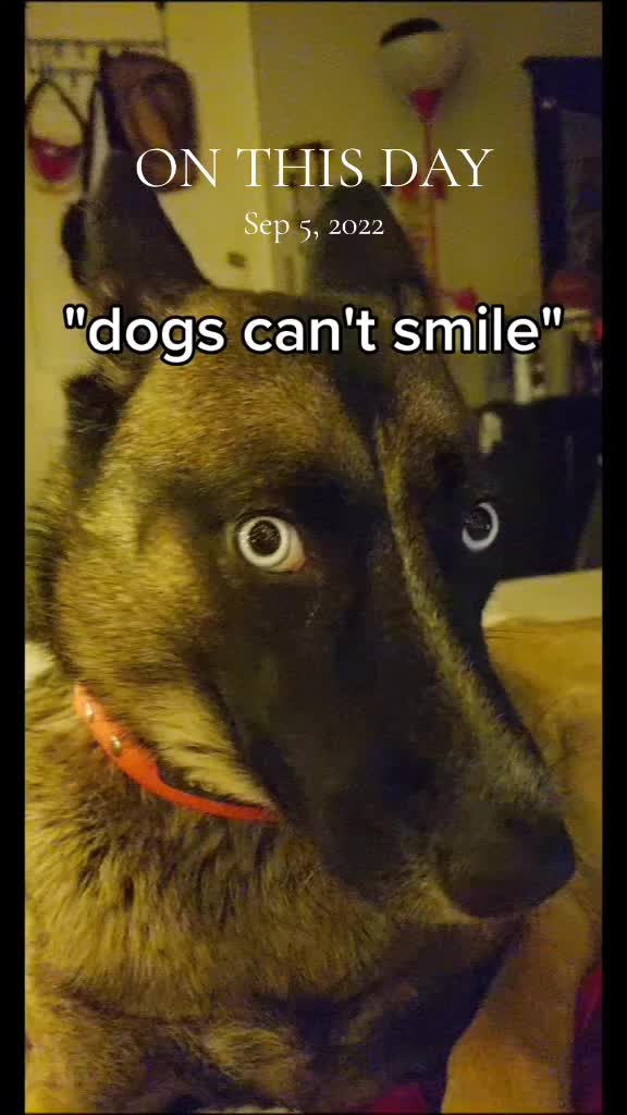 @🪓🐾🪓