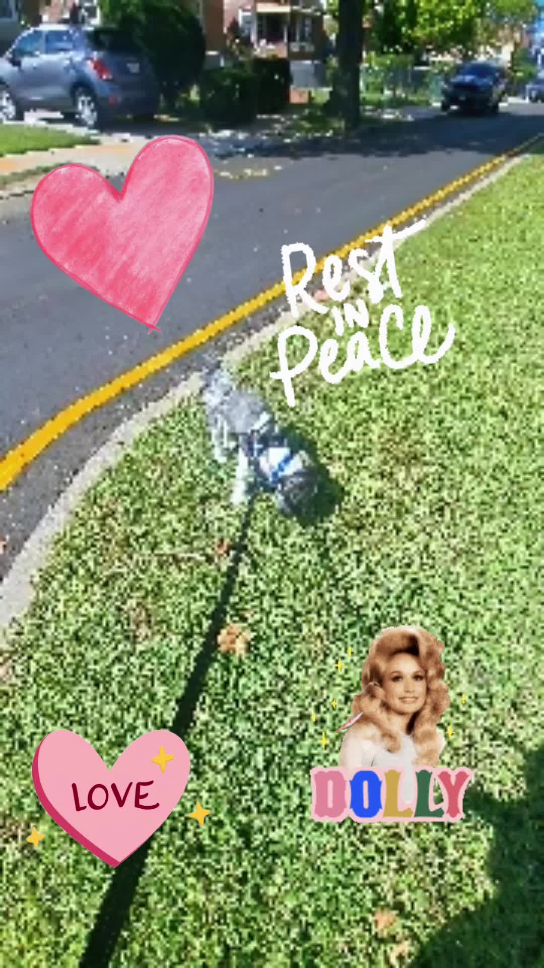 @finn2nyc