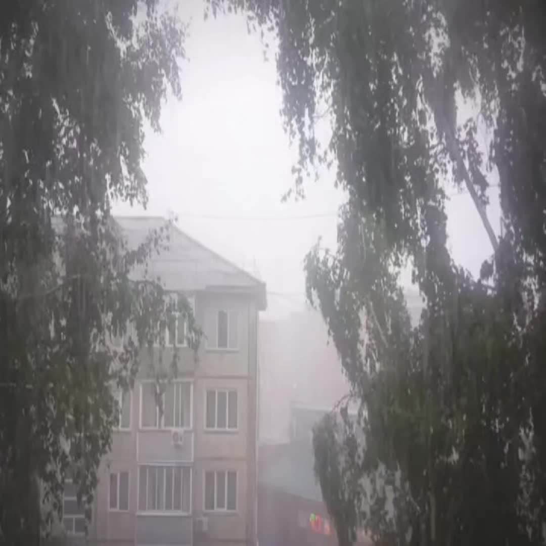 @квиакс