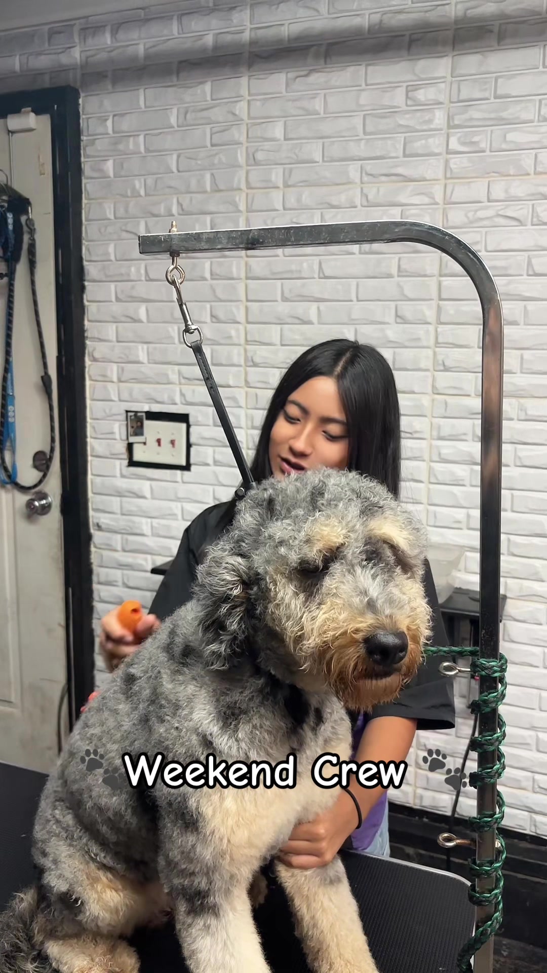 @PRETTY PAWS FURRY SALON🐾💜