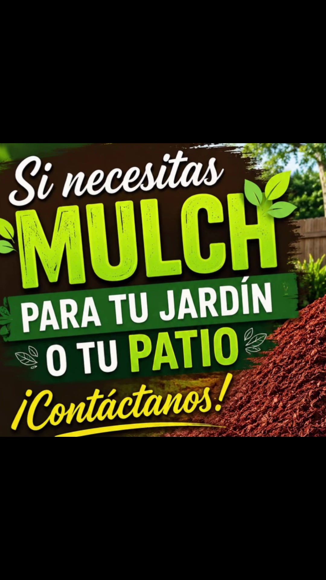@Lisette Perez Moreno
