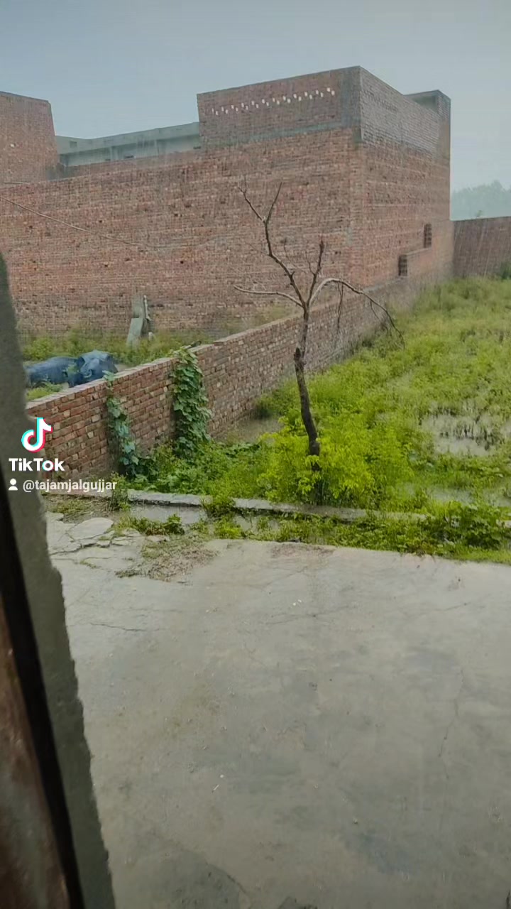 @12345678