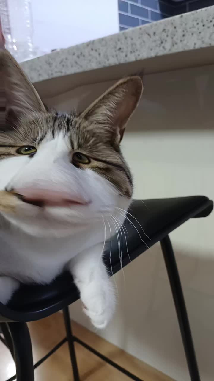 @에겐