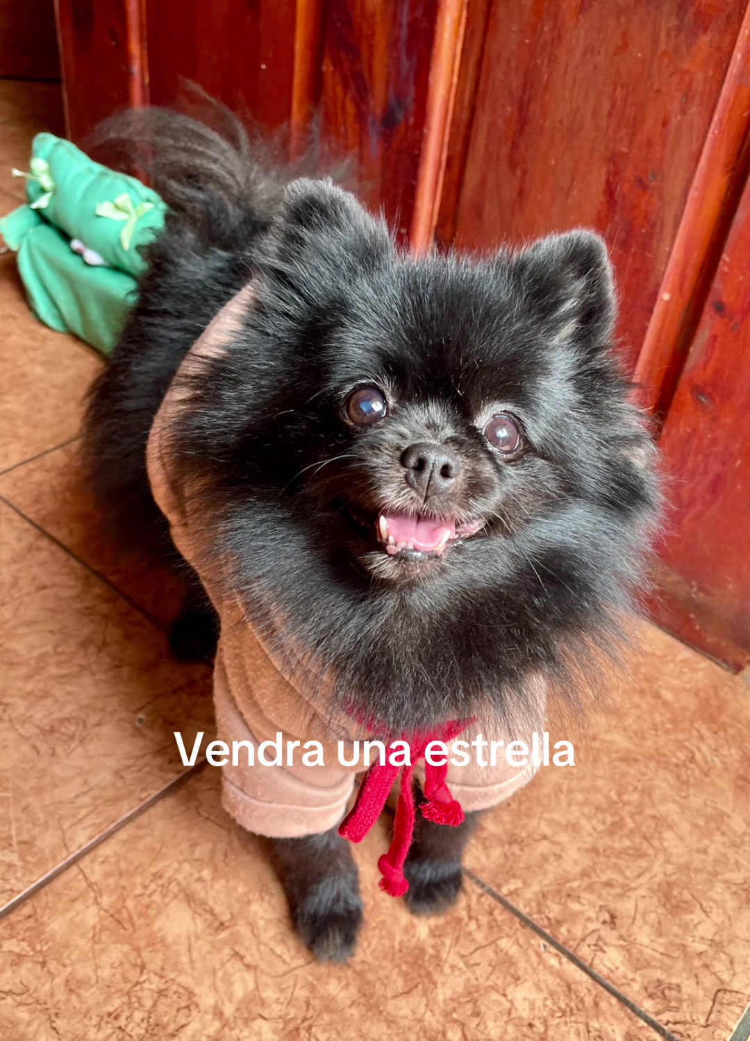 @Natymetal