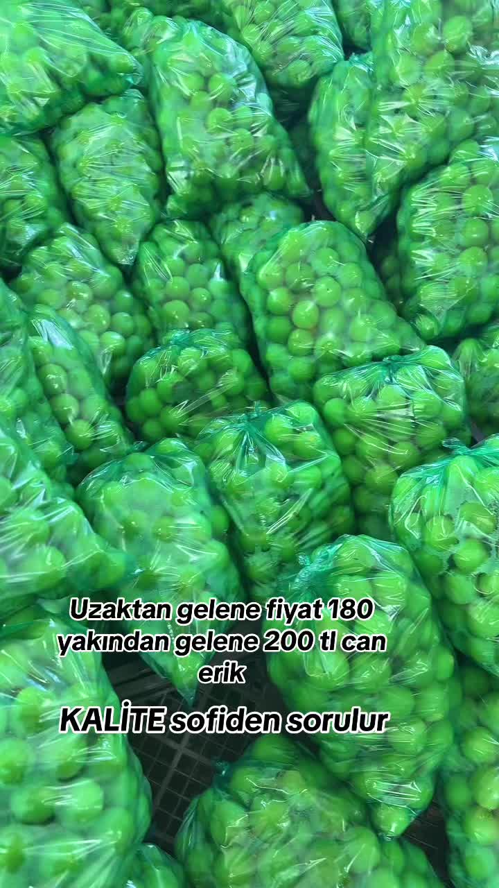 @Turgut Şengüler