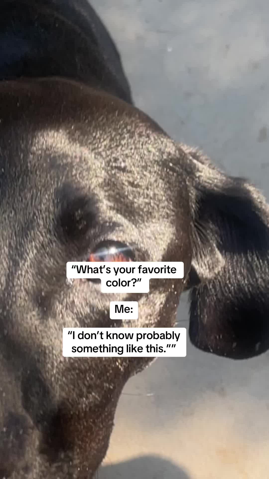 @Christy