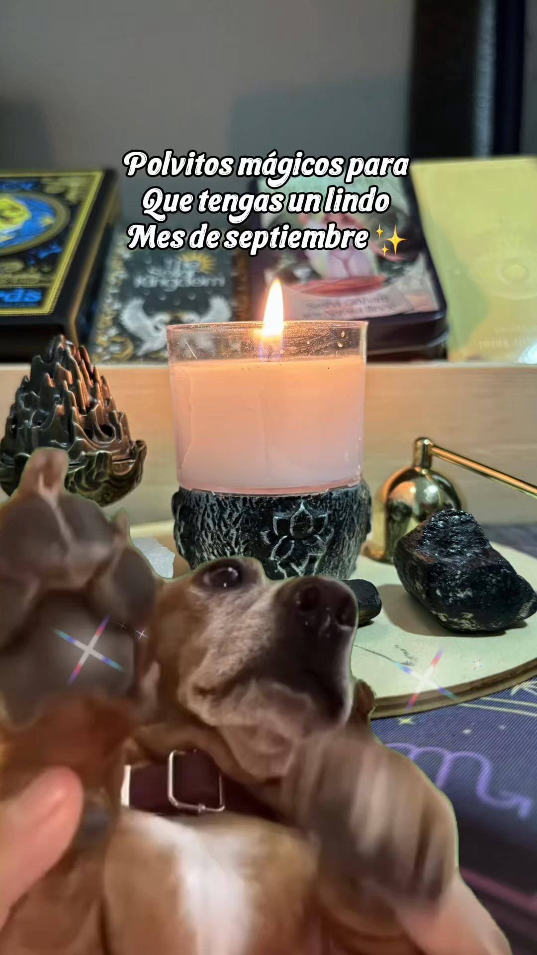 @T de Tarot