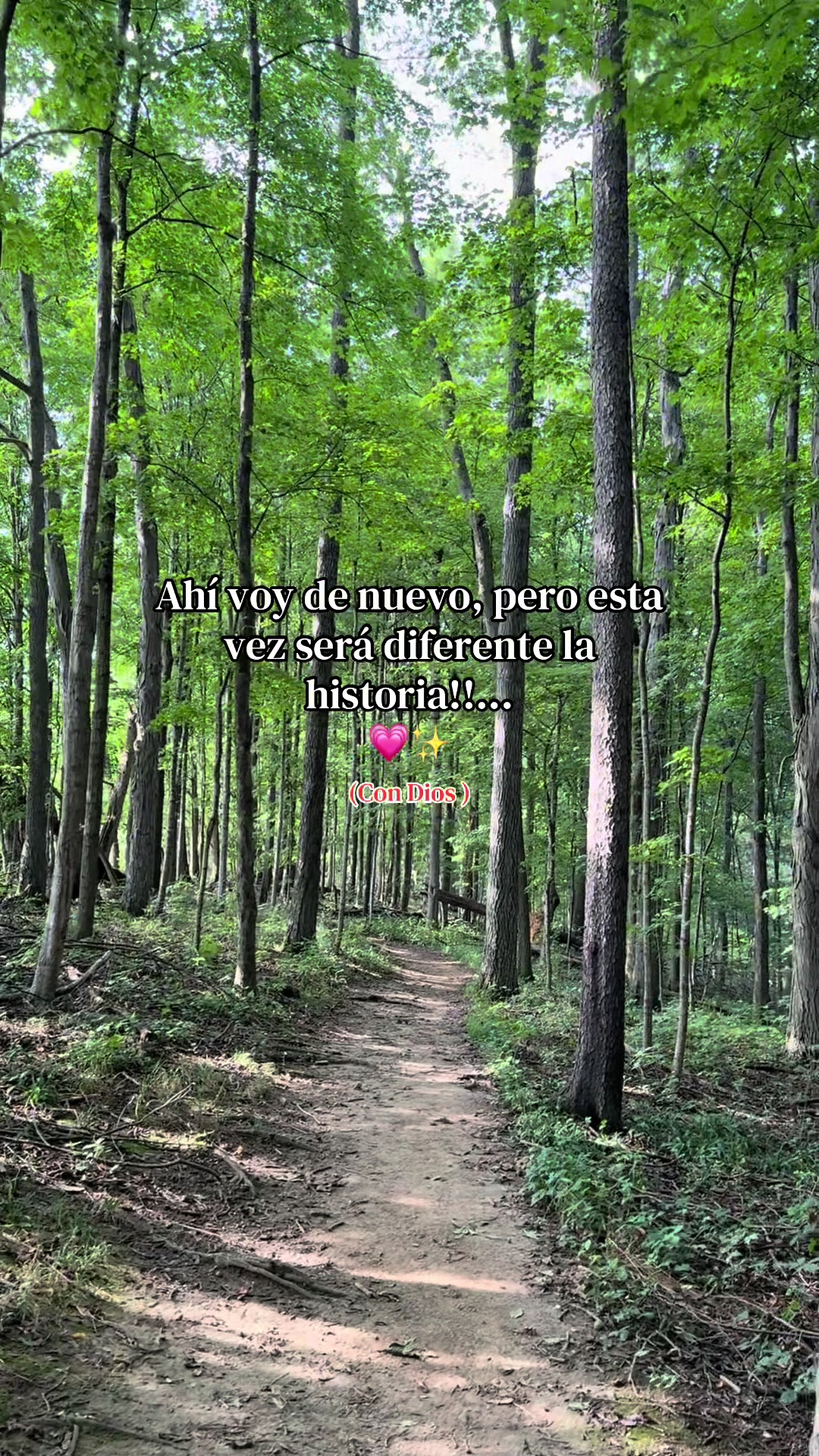 @🤍✨.