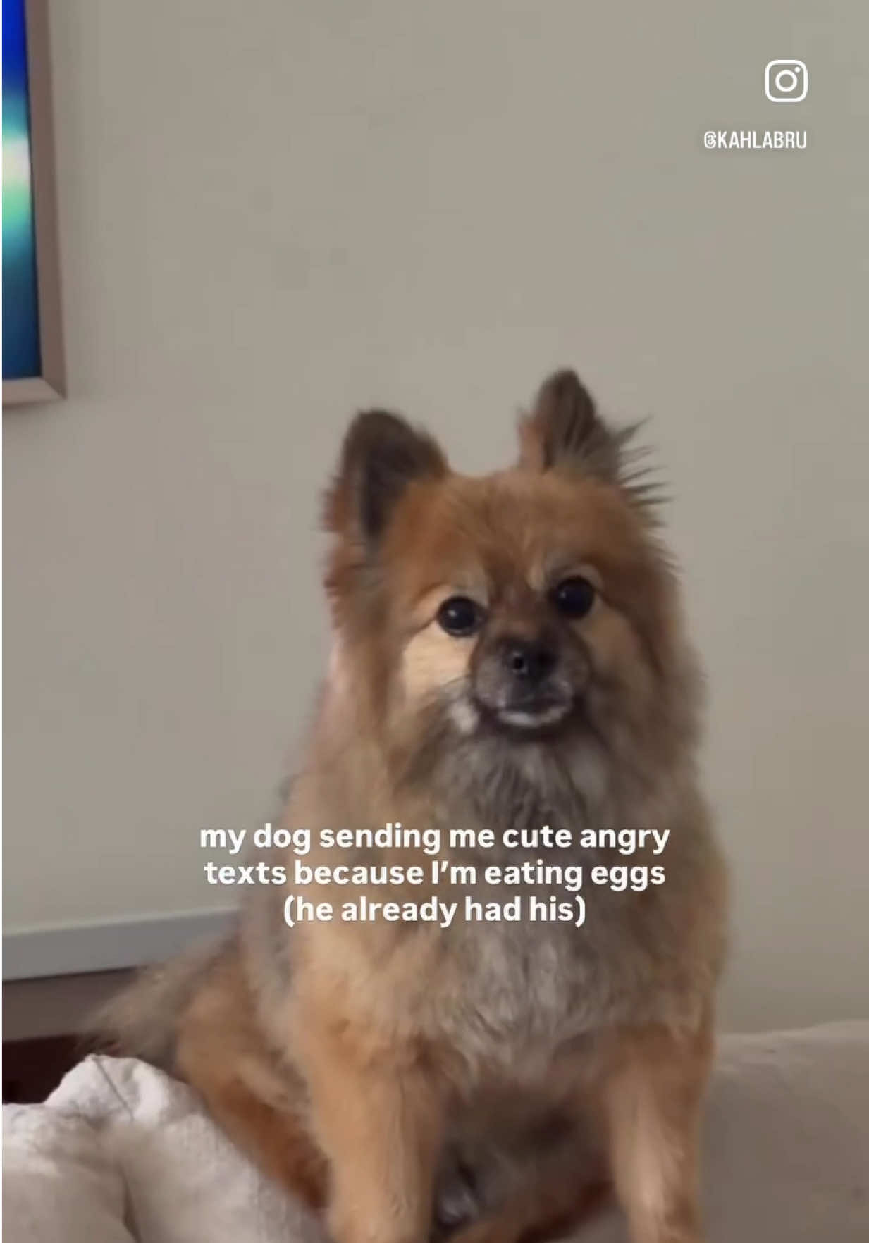 @kahlabru