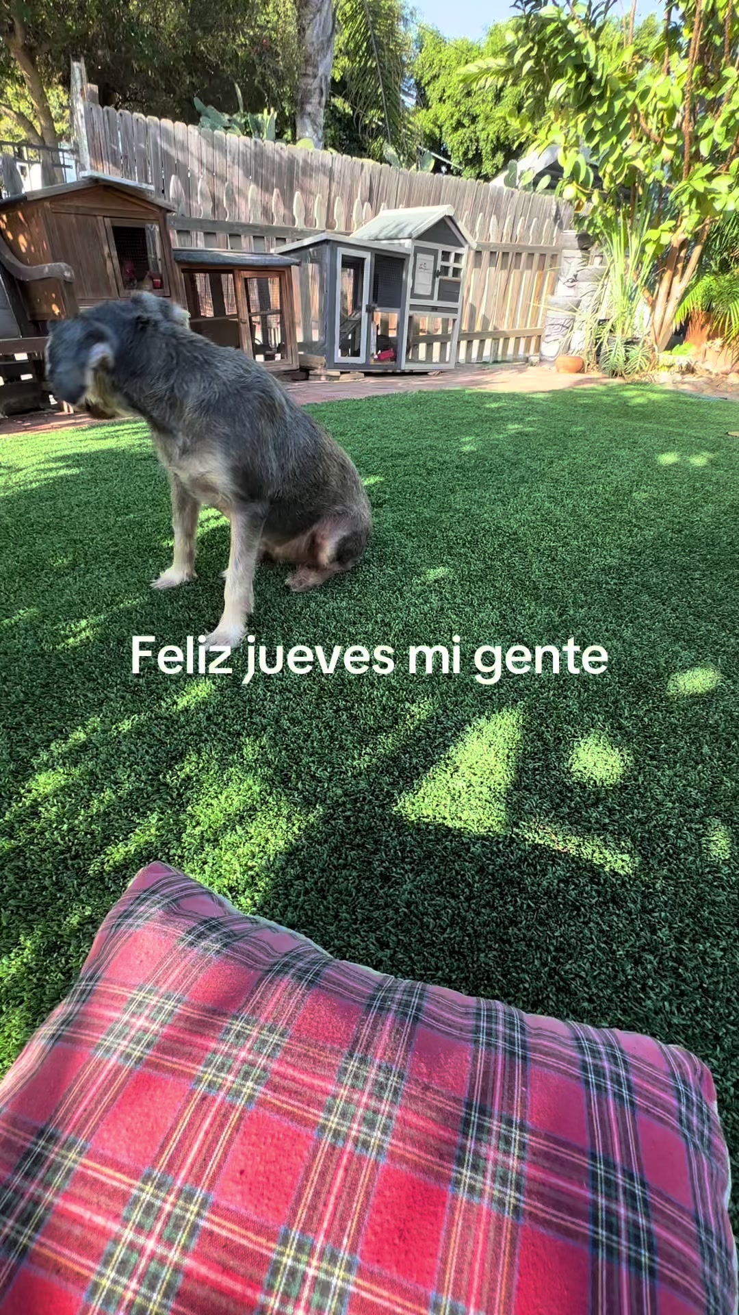 @Elcharitoopemex