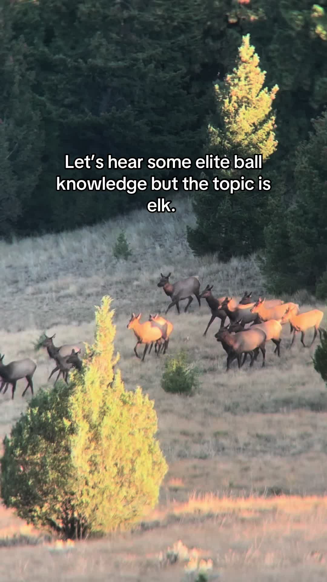 @James