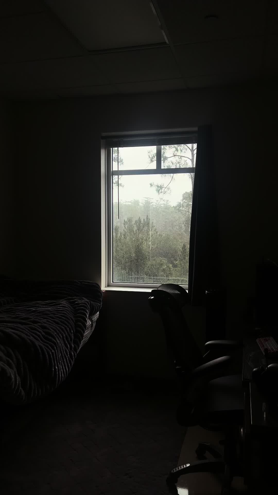 @view