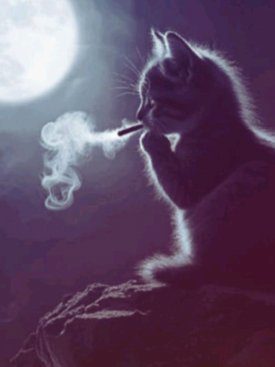 @𝐕𝐚𝐥𝐢𝐠𝐮𝐫𝐬𝐤𝐚𝐲𝐚