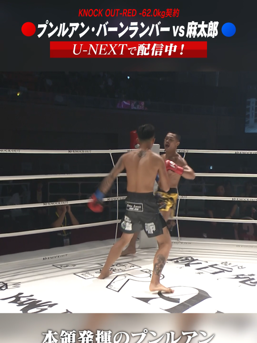@KNOCK OUT(ノックアウト)公式