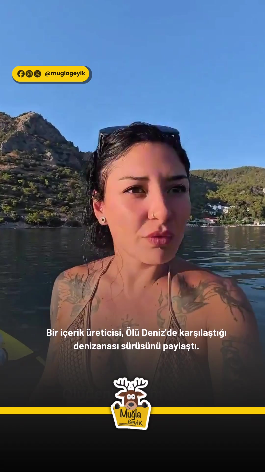 @Muğla Geyik