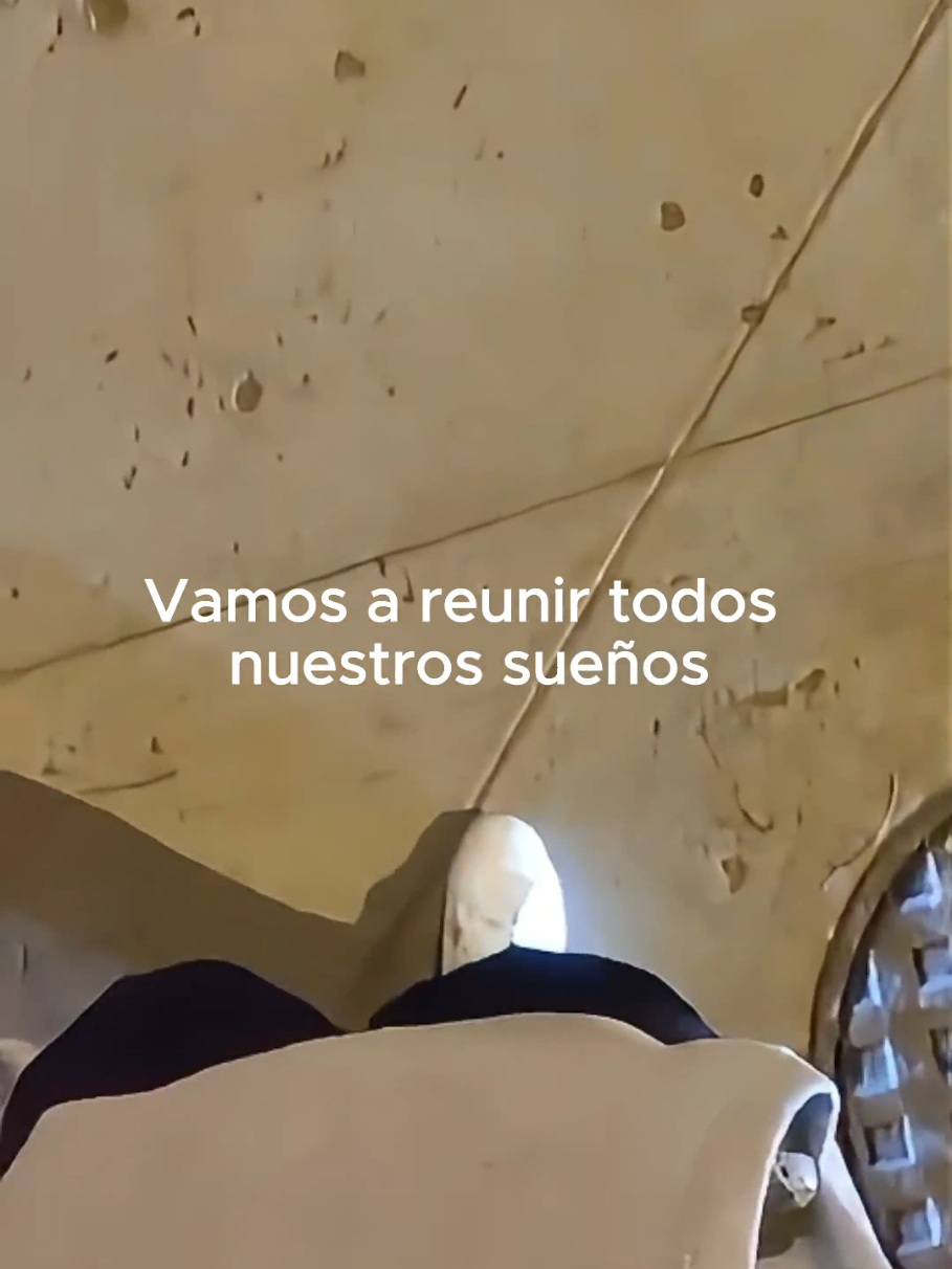 @Tamauta