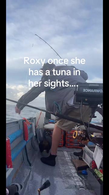 @Roxy’s Fishing Channel