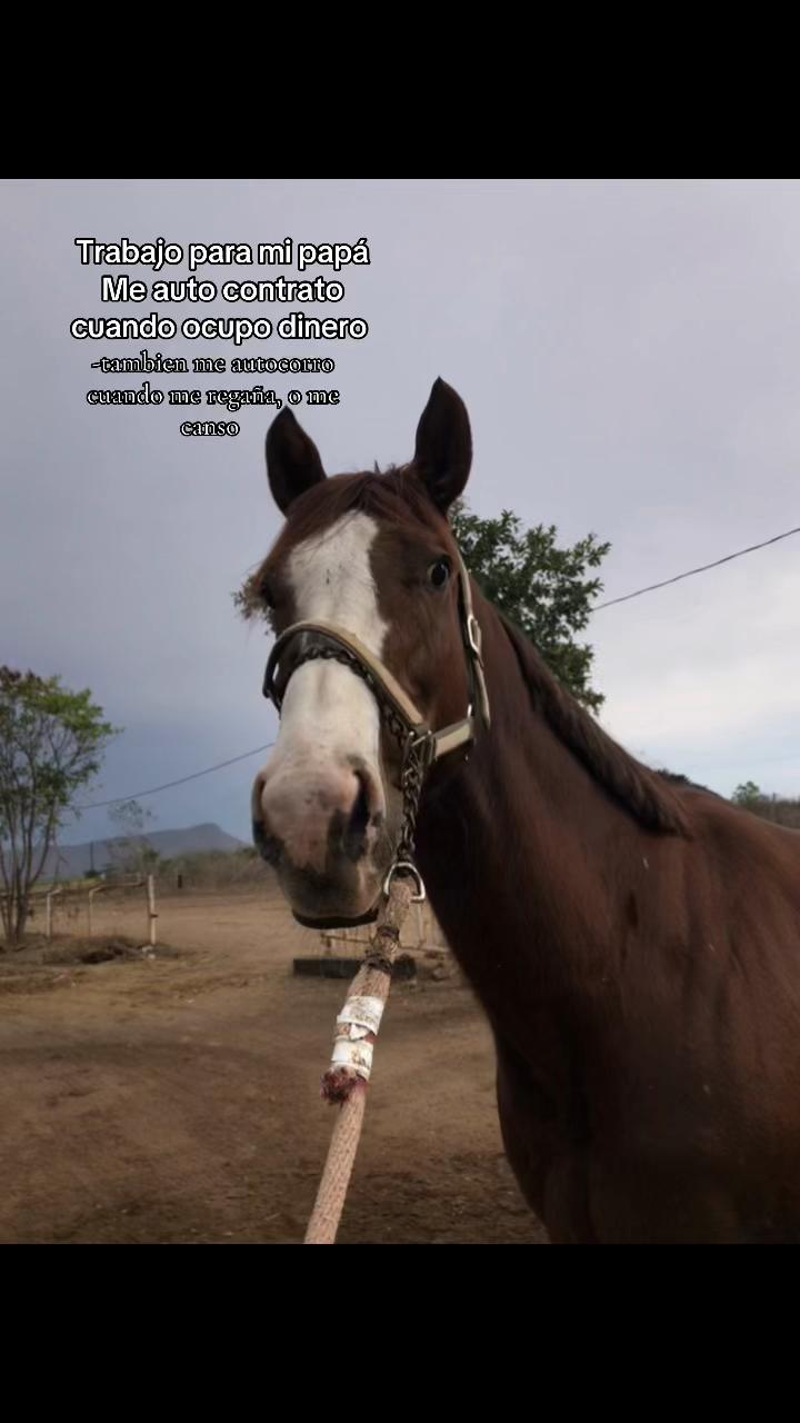 @Anye guzman🏇🏻