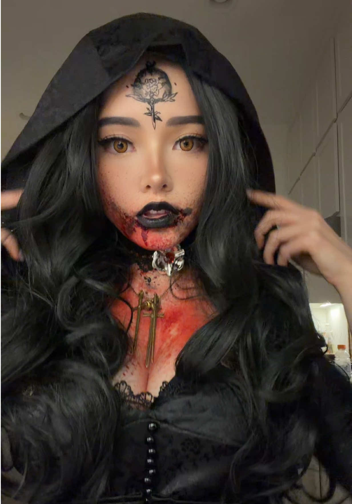 @Katchii 🐱