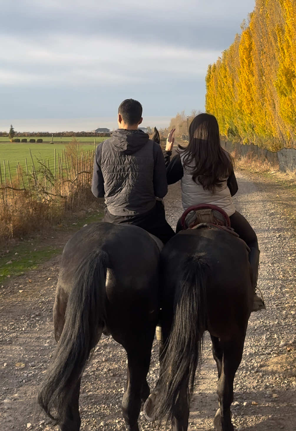 @aara1m