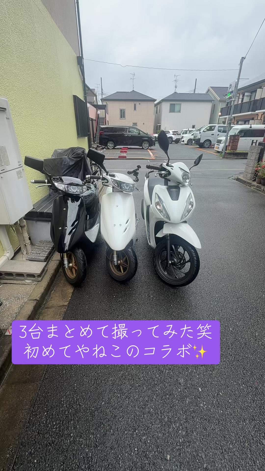 @⚡شجاعة煙草【本垢】自由⚡️