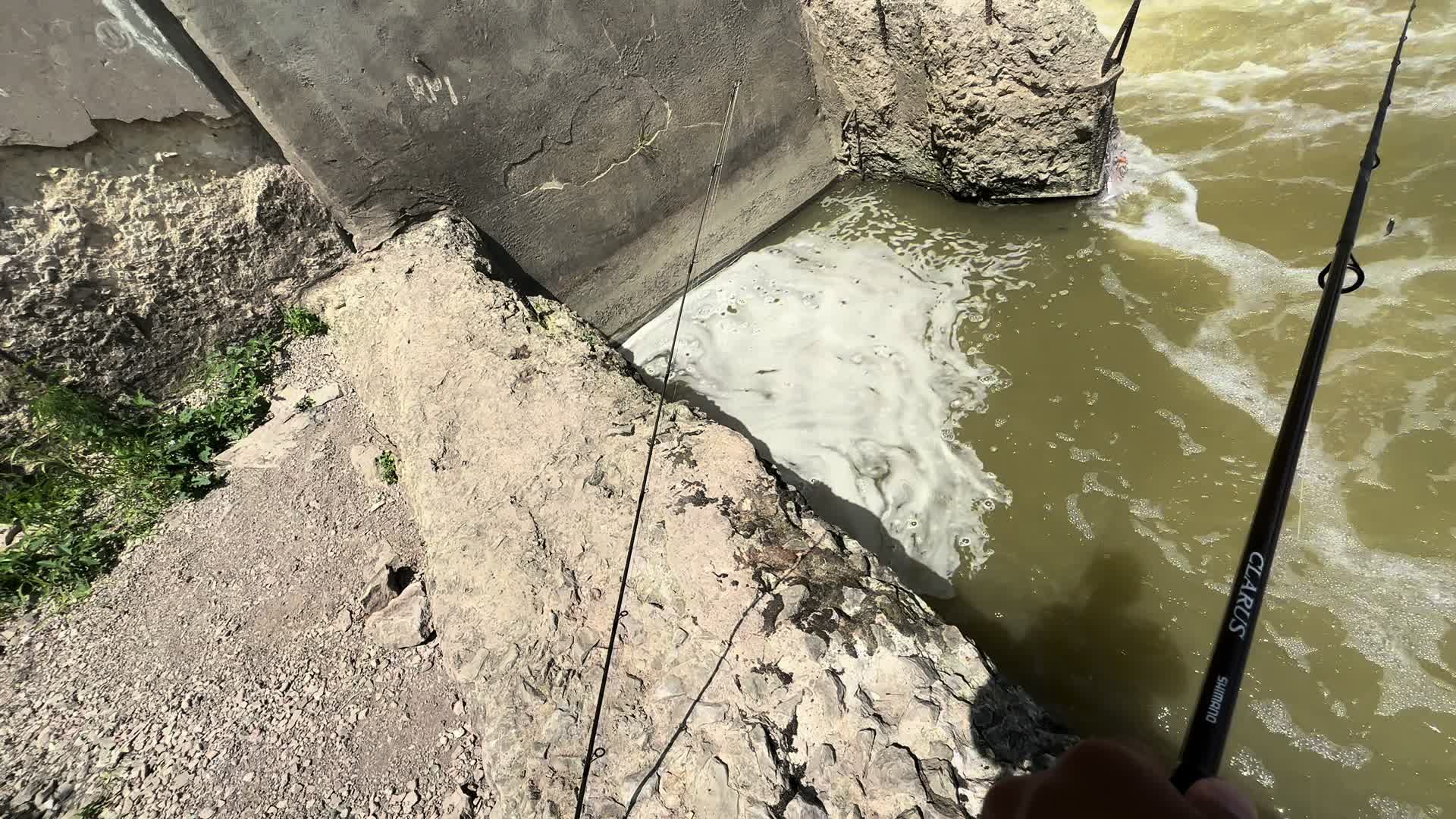@BigBassFish