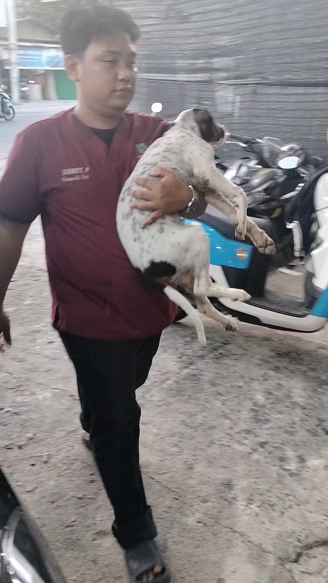 @JAMBI DOG LOVER✨