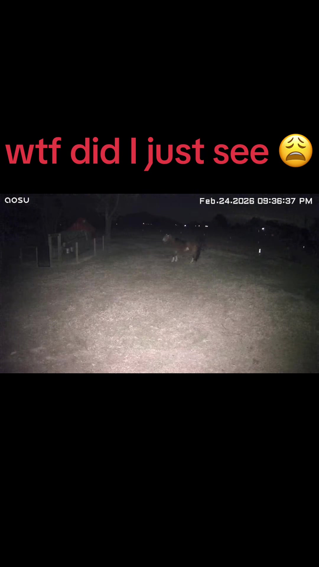 @Kjackson 🐴❤️