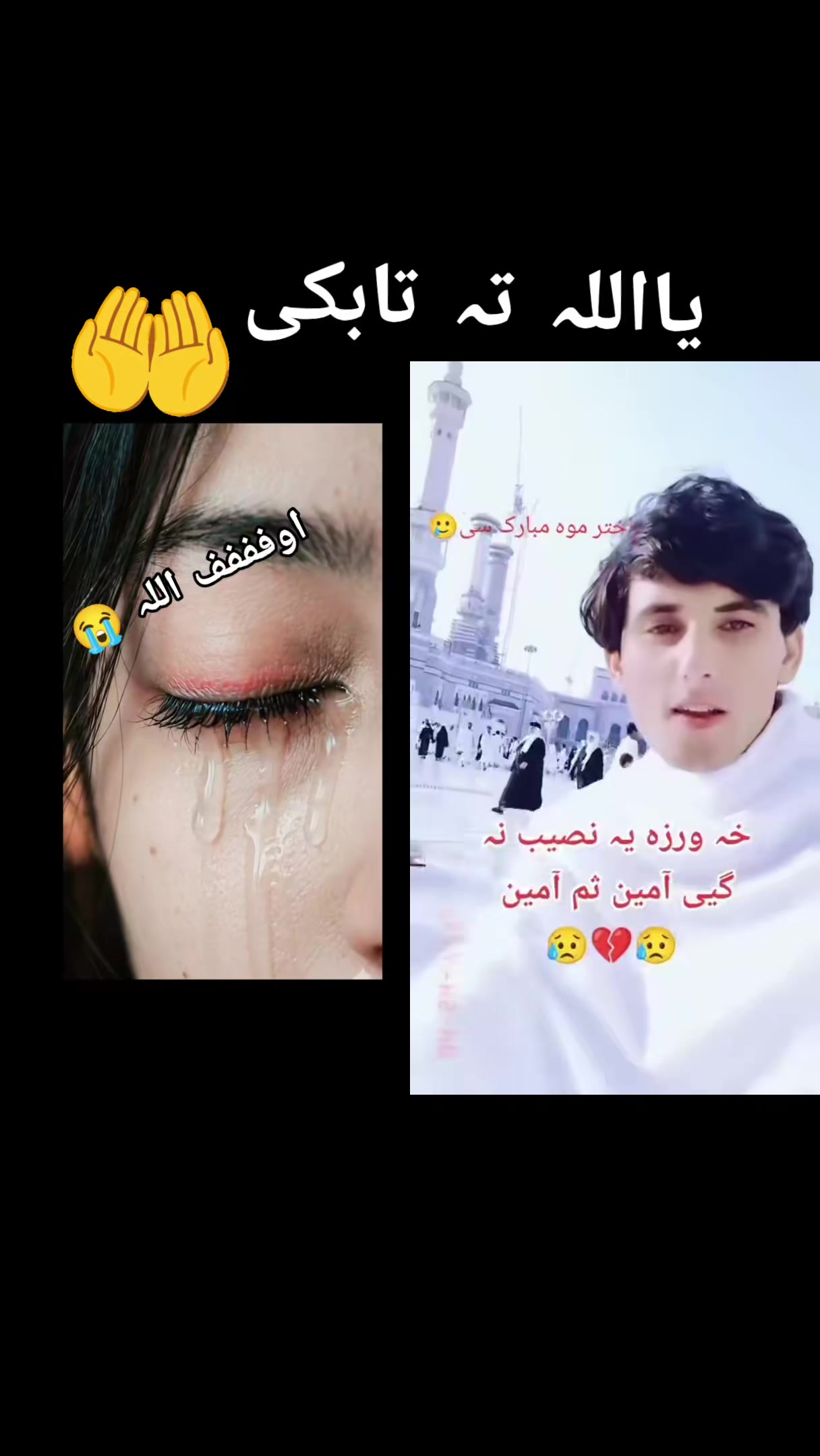 @ᴿᴬᴮᴵᴬ◉➳☙ ᴶᴬᴺᴵდ❦