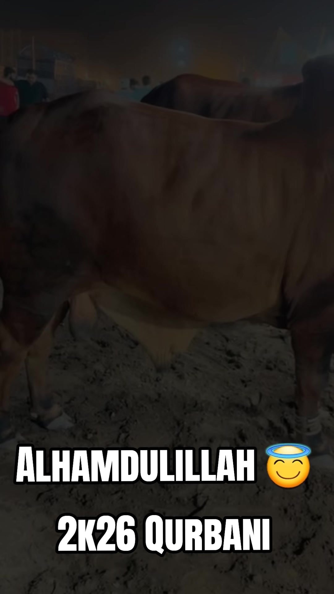 @Dani Baloch