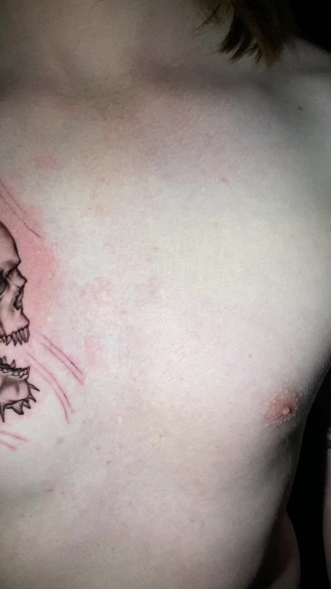 @Alexander__tats