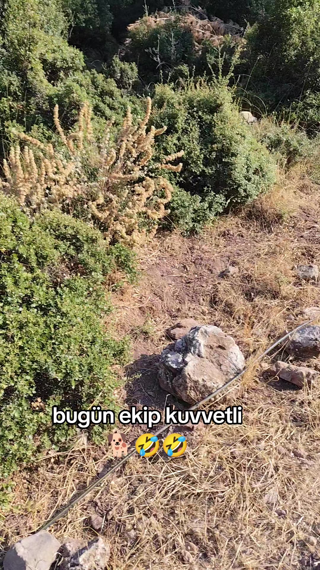 @PİSKO👉TOMBİK{45}