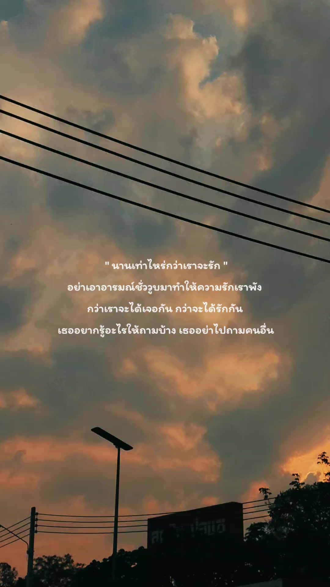 @pipat🌻🤍51.7K