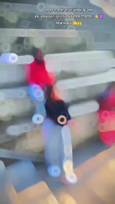 @KaLpAnA♥️🕉️📿🦚