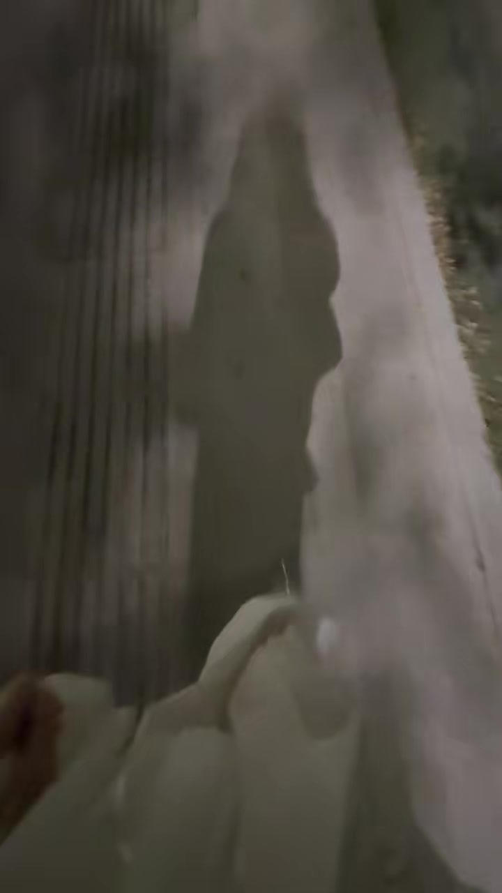 @摇摇🩵