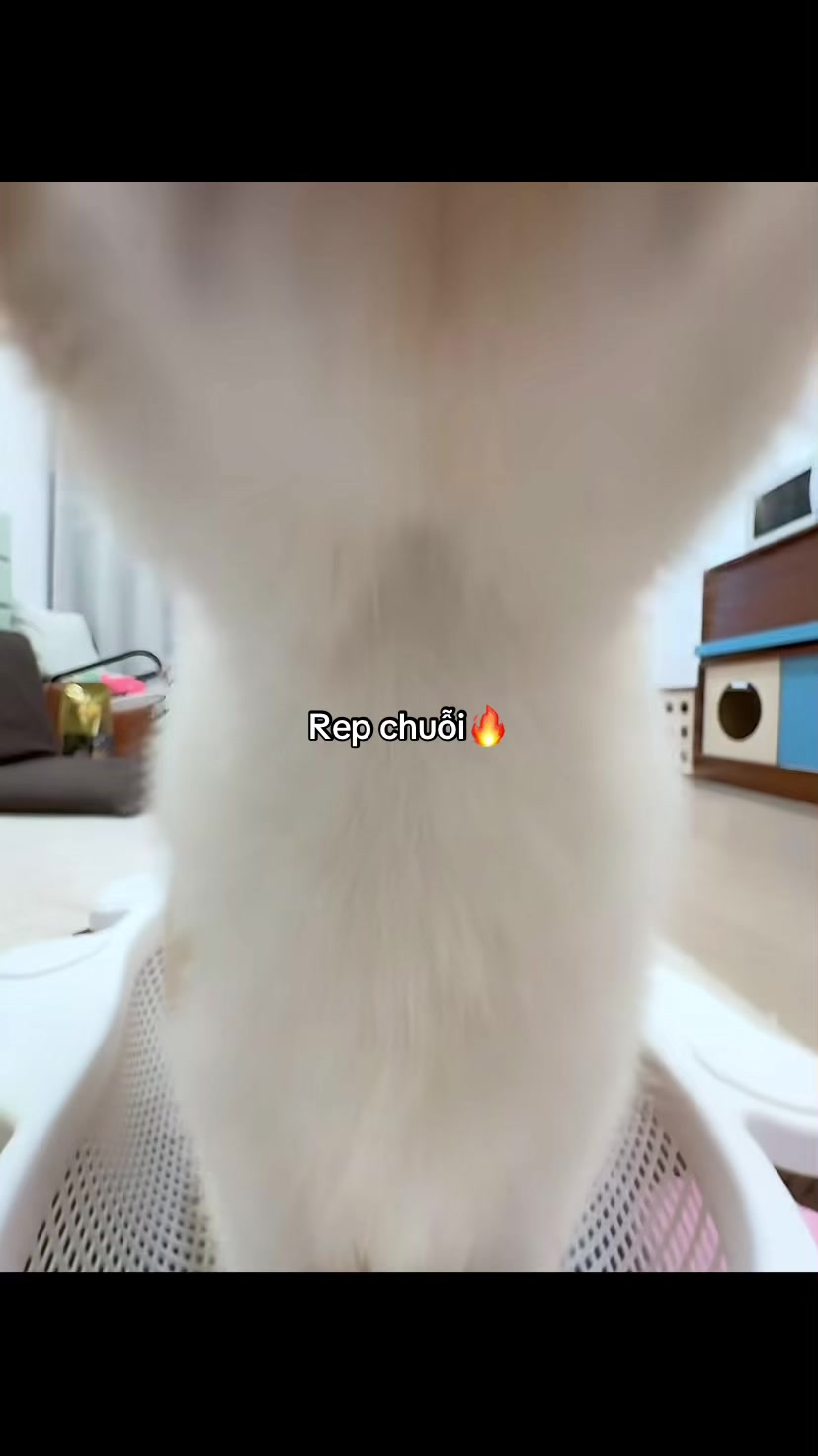 @Đèn Đường Số 12