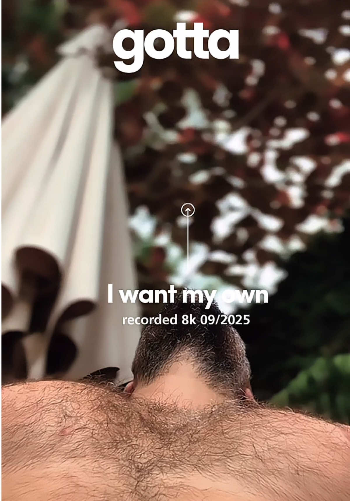@bearfluence