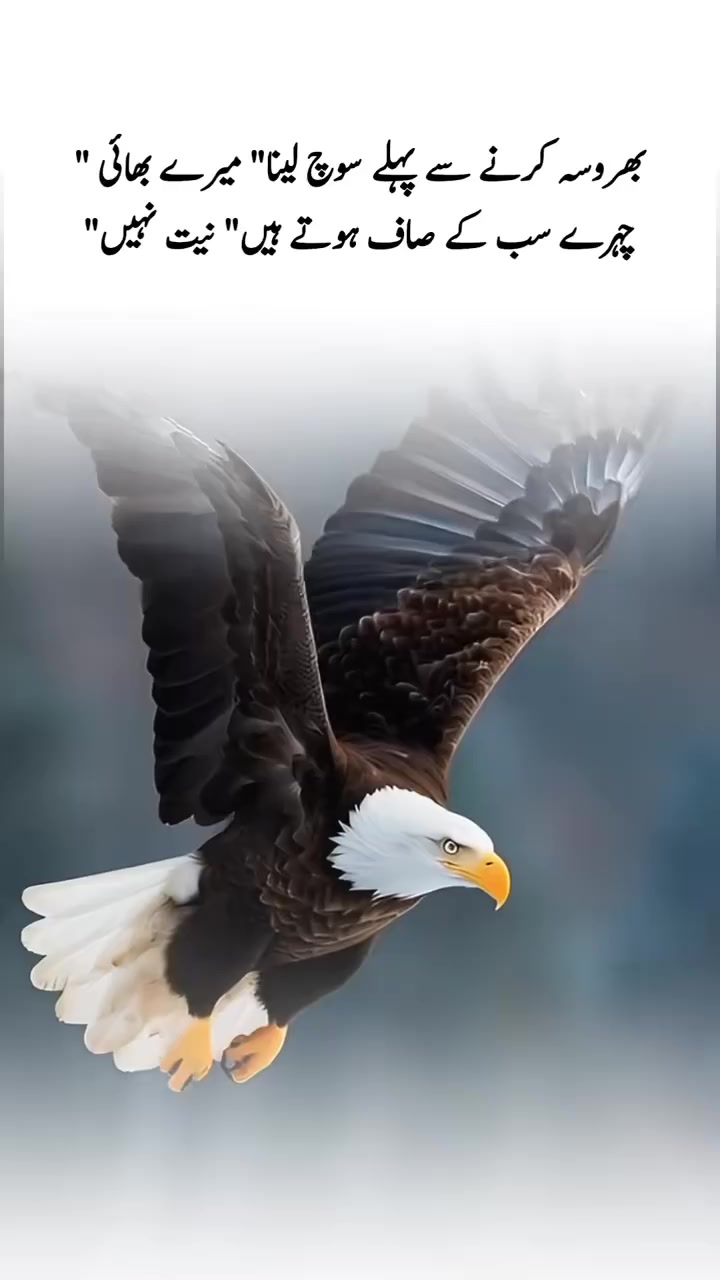 @Arif khan Arifkhan