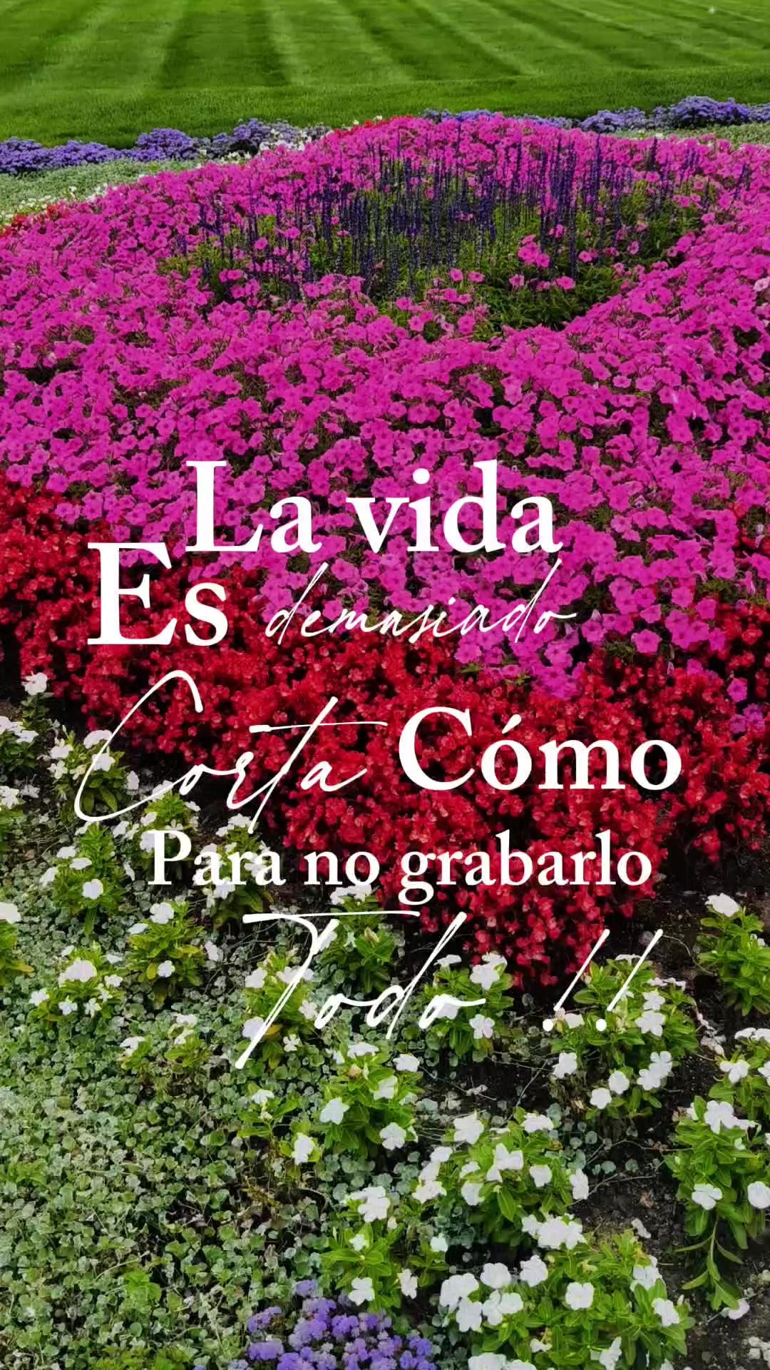 @🦋Nieves🦋