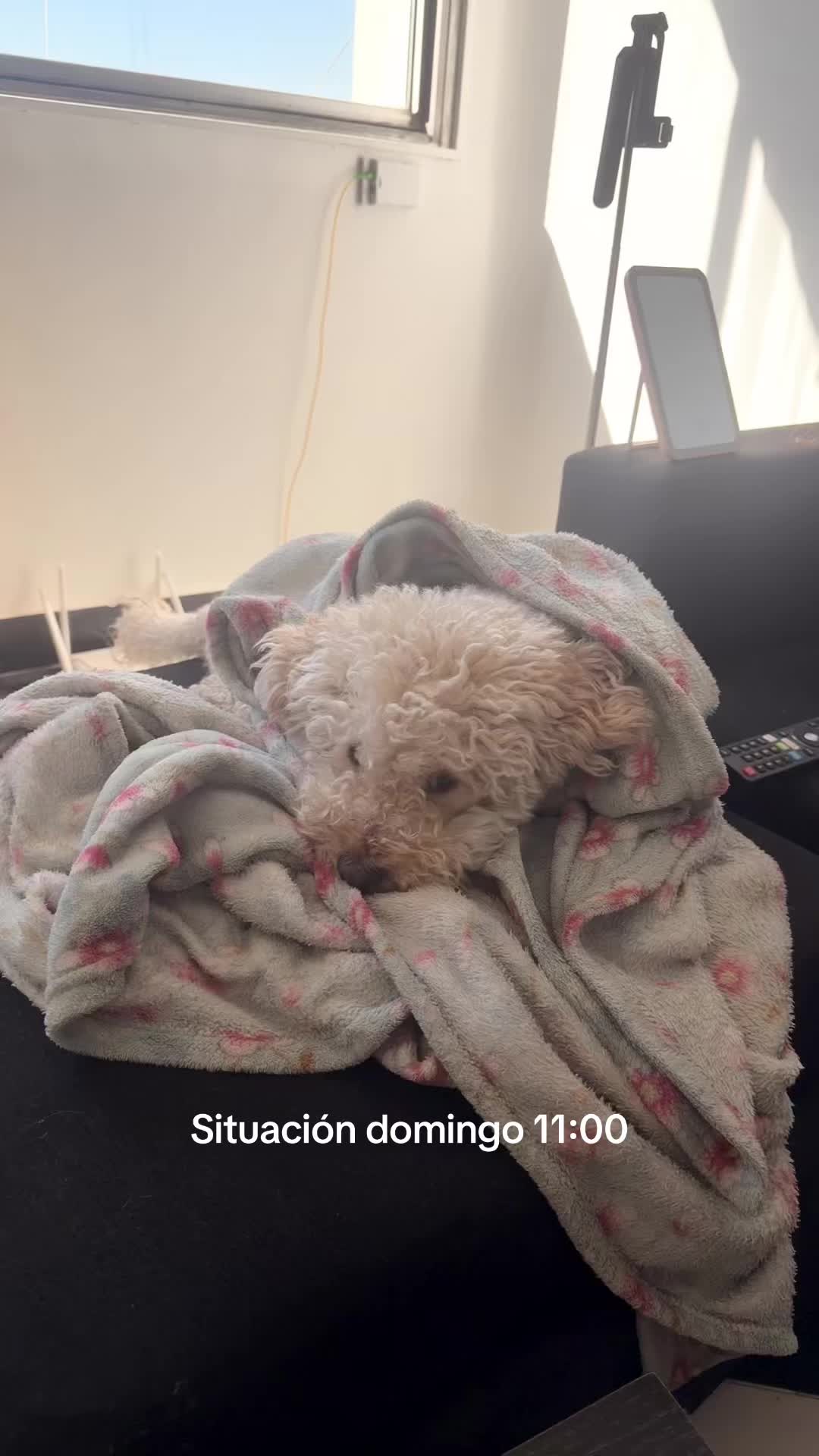 @marianaavictoria2